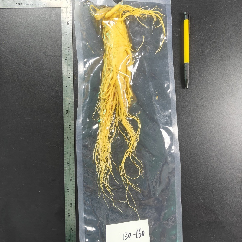 長白山人参（丸ごと根）卸売、鮮人参、生人参、酒漬け、酒造業者、火鍋、化粧品業者向け人参|undefined