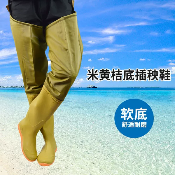 ❥♥❣❣❤❥80 cm rich gold rice planting shoes regular size❥❤❣❣♥❥
