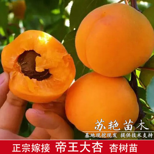 �Ә�������ӹ��箔��Y�������̨����ͥԺ�ϱ����Nֲ�ͺ�����