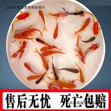 ���~���~�t���~С���^�p�~����ˮ�~�\���J�׵�ˮ�~����~