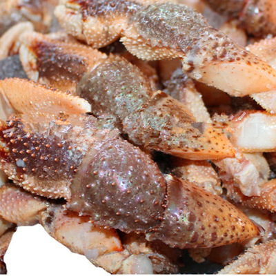 wholesale Frozen sea monster legs Hermit crab crab claws commercial Gear Restaurant Buffet Sauteed Crab