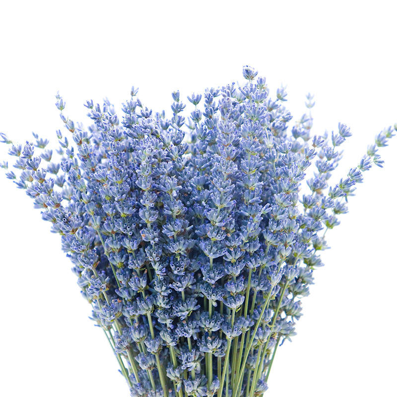 Lavender dried flowers natural air -dried flowers bouquet peace
