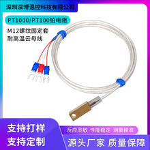 �����NƬPT1000/PT100�y�ؾ��М�̽�^�A�װ��b�ߜ؜ضȂ�����