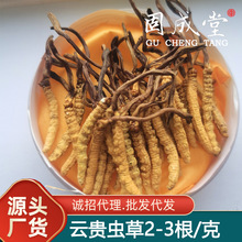 �F����Ϻ����x�����灆����x�ݻ���˹���x�Ĳ�һ����2000�l����