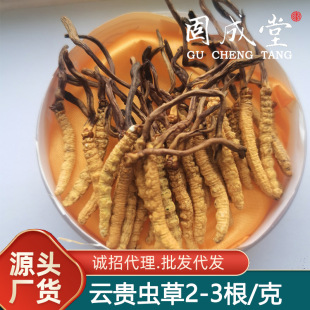 �F����Ϻ����x�����灆����x�ݻ���˹���x�Ĳ�һ����2000�l����