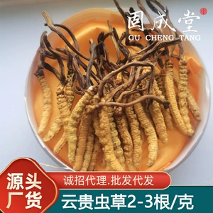 Guizhou Yunnan Hunan Cordyceps cordycene miao ya xiangbushop hohlet hoscus cordyceps cordyceps sinensis около 2000 штук