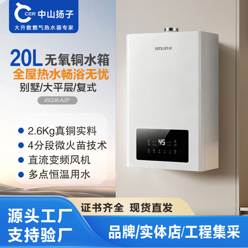 Source Factory 20-Liter Natural Gas Water Heater for Home Use, Constant Temperature, Forced Exhaust, Large Flow, Oxygen-Free Copper, Villa, Oem Wholesale Source Factory 20-Liter Natural Gas Water Heater for Home Use, Constant Temperature, Forced Exhaust, Large Flow, Oxygen-Free Copper, Villa, Oem Wholesale