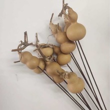 ���F�UС���J�����J��  �b�  �[��  �����ɻ� �������l