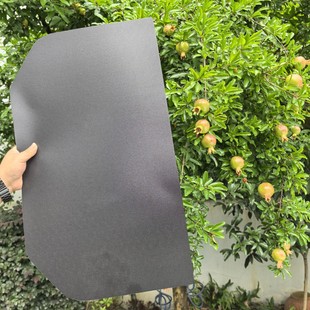 Factory Direct Sales Black Pe Plastic Sheet Waterproof, Moisture-Proof, Wear-Resistant and Durable Lining Hard Plastic