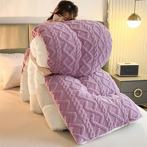 Winter Thick Tafette Fleece Blanket Core Milk Fleece Double-Sided Fleece Winter Blanket Warm Lamb Wool Spring and Autumn Quilt Cotton Cover