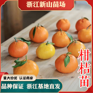 �̽��� �t���ː��°ҰҸ̽���S�����ָ��������٘�����Ʒ�N