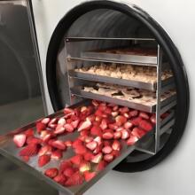 定制草莓榴莲无花果秋葵冷冻干燥机 果蔬低温真空冻干机