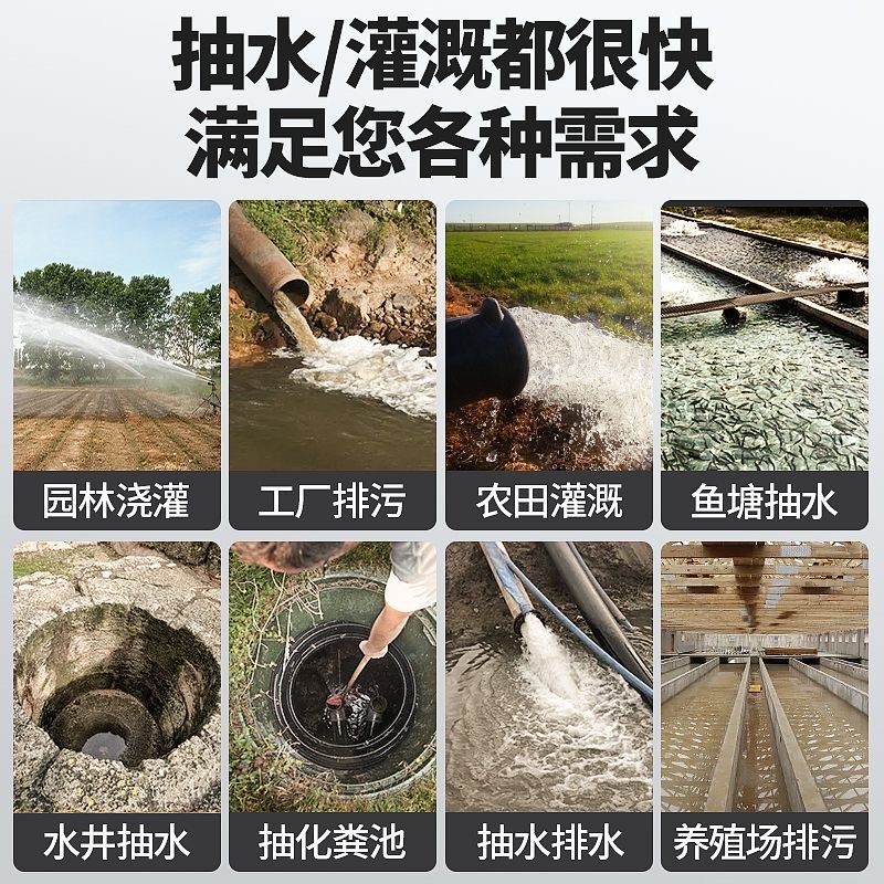 德力西电气不锈钢潜水泵220小抽水泵高扬程农用灌溉清水泵污水泵|undefined