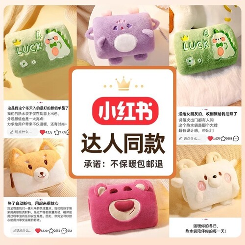 Double-Hand Insertable Electric Hand Warmer Fabric Cover with PVC Water-Filled Warm Bag, Chargeable and Non-Water Hot Pack
