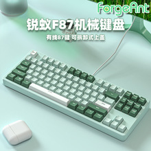 锐蚁F87机械键盘办公游戏电竞有线68/87/104键青红茶轴笔记本电脑