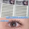 20 rows of 240 clusters of glue-free sessile mother raw fish tail eyelash book