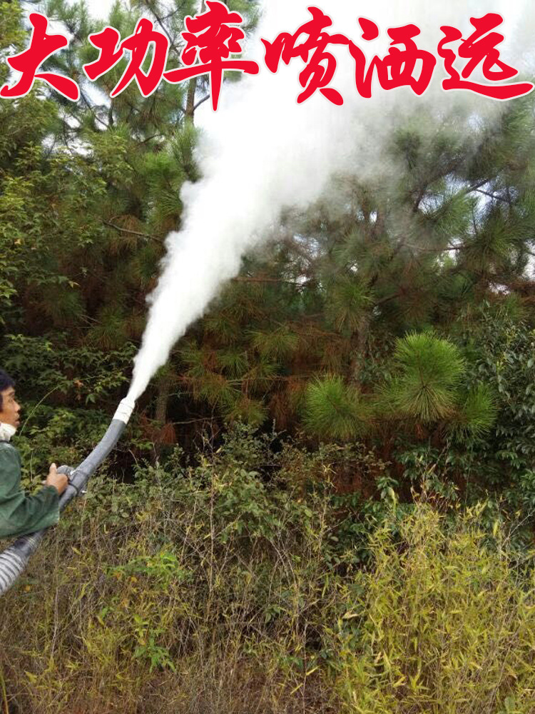 O1CN01looyhU1r6bQNntK2y_!!8190