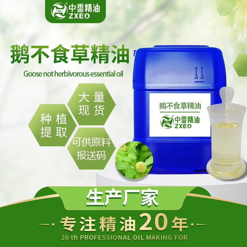 吉安中香鹅不食草精油 厂家供货 鸡肠草油 现货单方精油可提供原