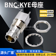 ��ʽ 29.5 BNC-KYE BNCĸ�^ĸ���� ���lͬ�S�B���� ��ʽKE���_��