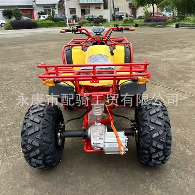 60V3000W Motor Beach Car – Elektrikli motosikletlər
