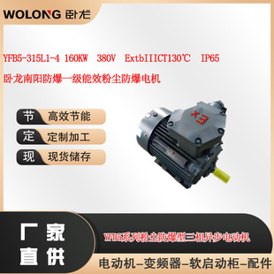 YFB5-315L1-4 160KW ExtbIIICT130����ꖷ���һ����Ч�ۉm늙C