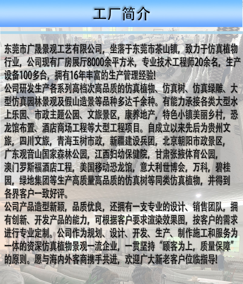 9简介