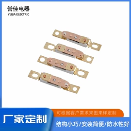 保护器件;温度保险丝