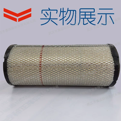 Automobile filter element (Outer Filter) 119160-12560-Xw Industrial