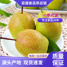 �Fժ����10�����Ӽt�����殔�����rˮ����Ƥѩ�����䑪��ˮ�����]