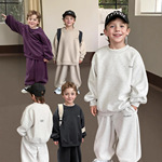 男童大童秋季套装童装2025新款中大童卫衣卫裤中性韩版休闲洋气