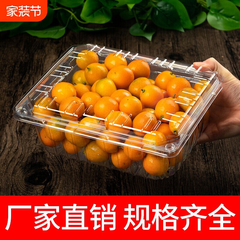 Disposable Fruit Box with Lid and Snap Closure, Transparent Plastic Food-Grade Packaging Box, Rectangular, Pack of 0.5kg