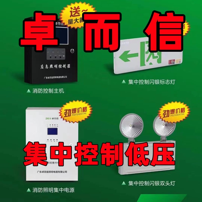 卓而信A型集中控制集中电源智能应急疏散灯标志灯指示灯安全出口