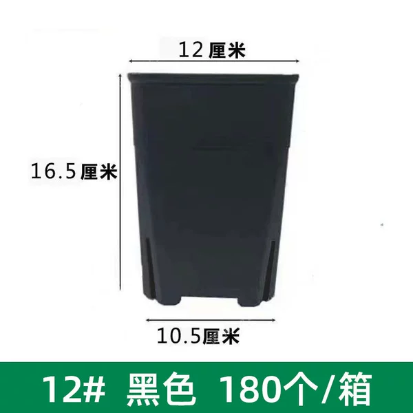 Black control root 12 square diameter 12cm, 240 pieces sent to a box