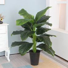 ����ֲ��͏d�쾰�پGֲ�҃ȴ������Ԕ[���Gɫ����b������辰��