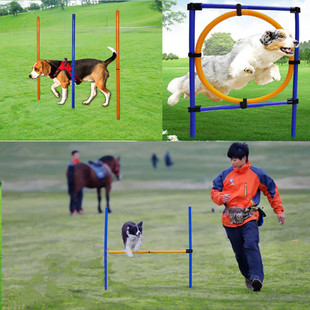 Dog Training Supplies Agile Equipment Single Pole Jump High Jump Circle Pet Outdoor Training Equipment Three-piece Set