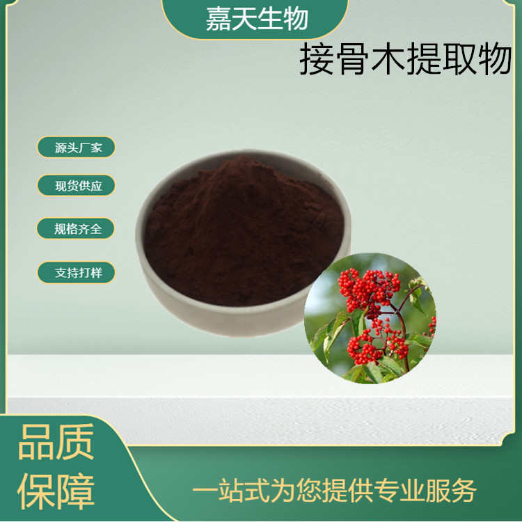 源头厂家供应接骨木花青素 接骨木浓缩粉 接骨木提取物10/20/30:1