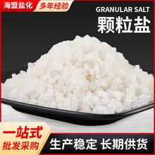 工厂现货批发工业盐袋装日晒海盐 粗盐大粒盐 污水处理用日晒盐