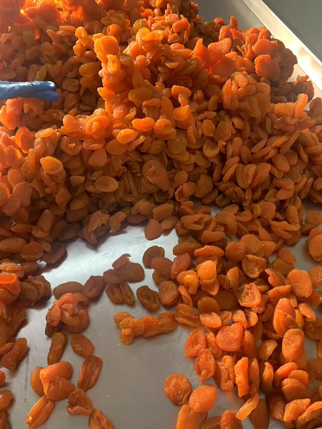 12.5kg 말린 살구 상자