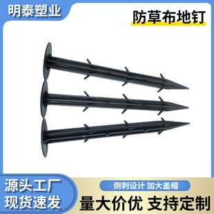 Cross-Border Gardening Floor Nail Manufacturer, Grass-Proof Cloth Ground Nails, Fixed Greenhouse Floor Cloth Nails, Plastic Nails, Multi-Specification Ground Cloth Nails