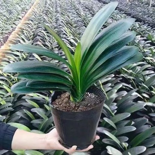 �����m�����҃ȿ͏d���ܾ����m����A�^�����ļ�����ߙn���B���]