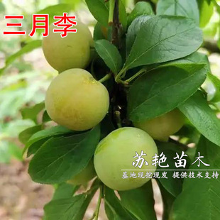 �����������������Ә������A����޽ӹ�����������箔��Y��
