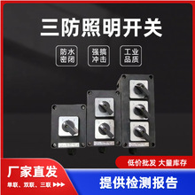 FZM-10A三防照明开关 异地密闭防尘一位单极开关 250V10A
