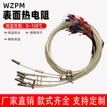 上海WZPM-201表面鉑電阻 WZPM-001端面熱電阻 pt100帶引線