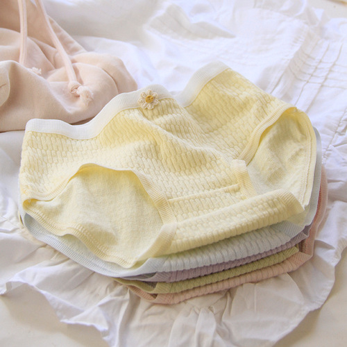 Baby Bubble Cotton, Skin-Friendly & Comfortable Pure Cotton Crotch in Candy-Colored Mid-Rise Women's Panties, Girls' Thong Style – Model 1201