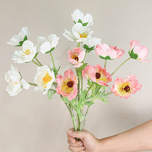 ����С3�^���^�̷��滨����[���zӰ���߼Ҿ��b���������Y����