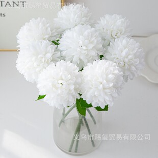 �����֧��մ���ƹ�Ҿ� �Ҿӿ͏d��ꐻ�ˇ �ٻ��Ƶ��c�쾰����