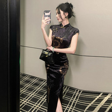 WDS5419�W��2025�羳���Q���l�͹Žz�q�Ը��@�����������B���Lȹ