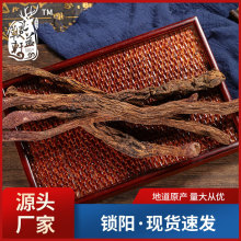 Įp۽ișliꖴƬݾrș