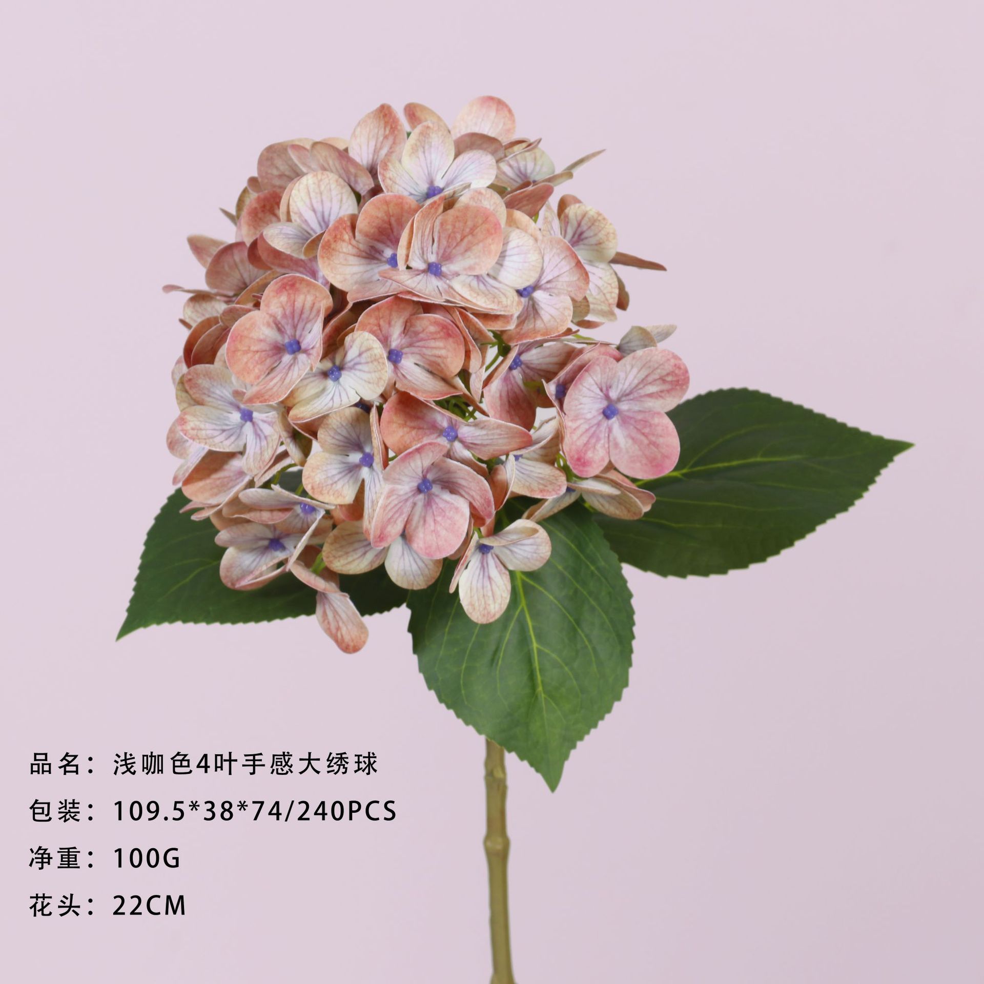 Hortensia grande de 4 hojas de color marrón claro