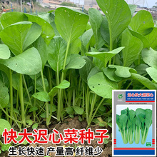 СtĲ˷N̨ļѷNV|ķNӴ߲˷N